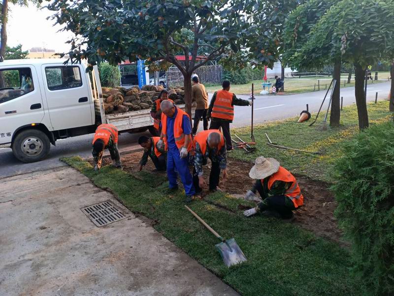 �ڲ��������רҵЧ��,����Ϊ��