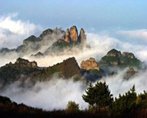 �ڲ��������רҵЧ��,����Ϊ��