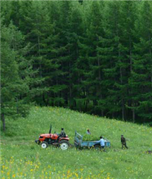 �ڲ��������רҵЧ��,����Ϊ��