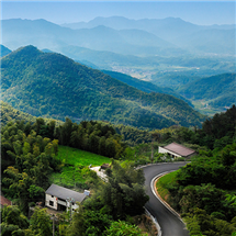 �ڲ��������רҵЧ��,����Ϊ��