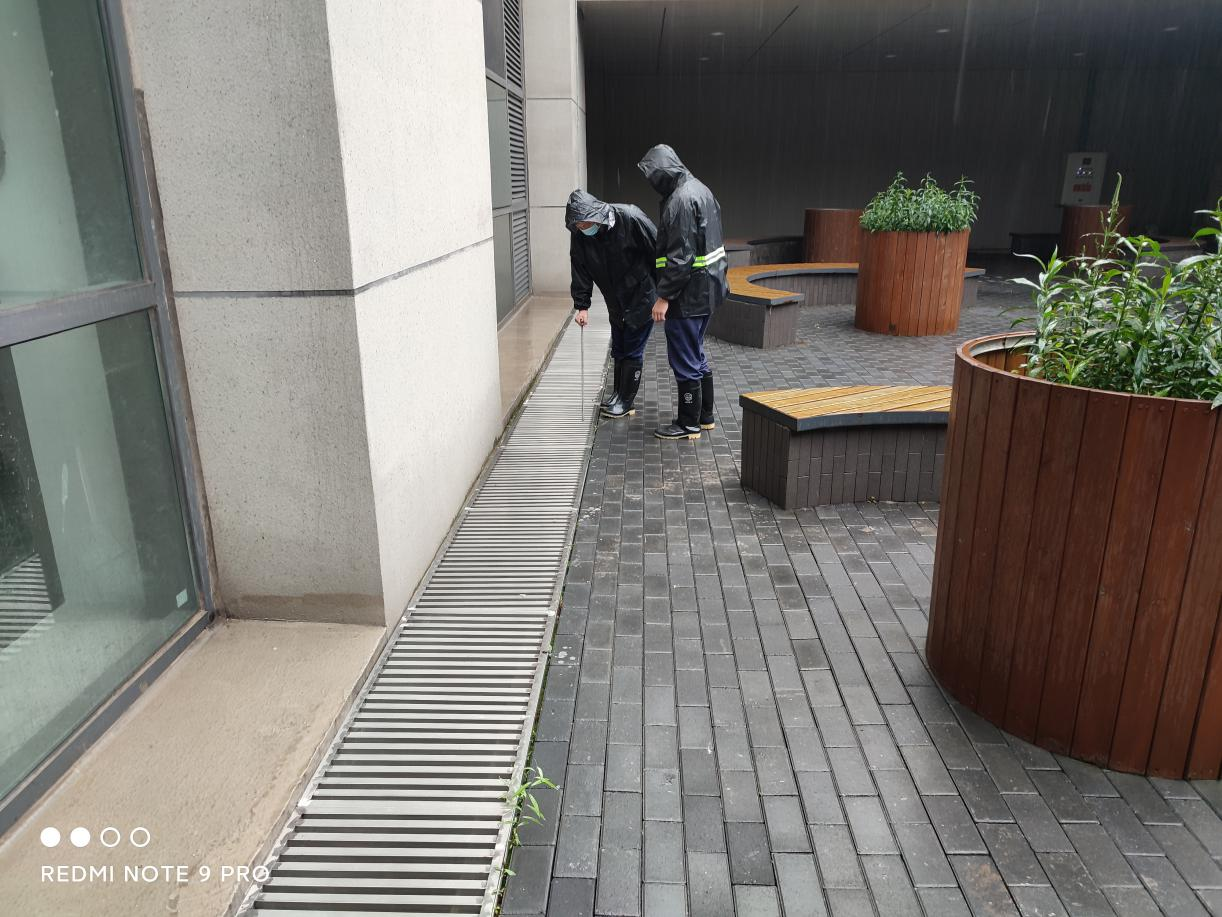 �ڲ��������רҵЧ��,����Ϊ��