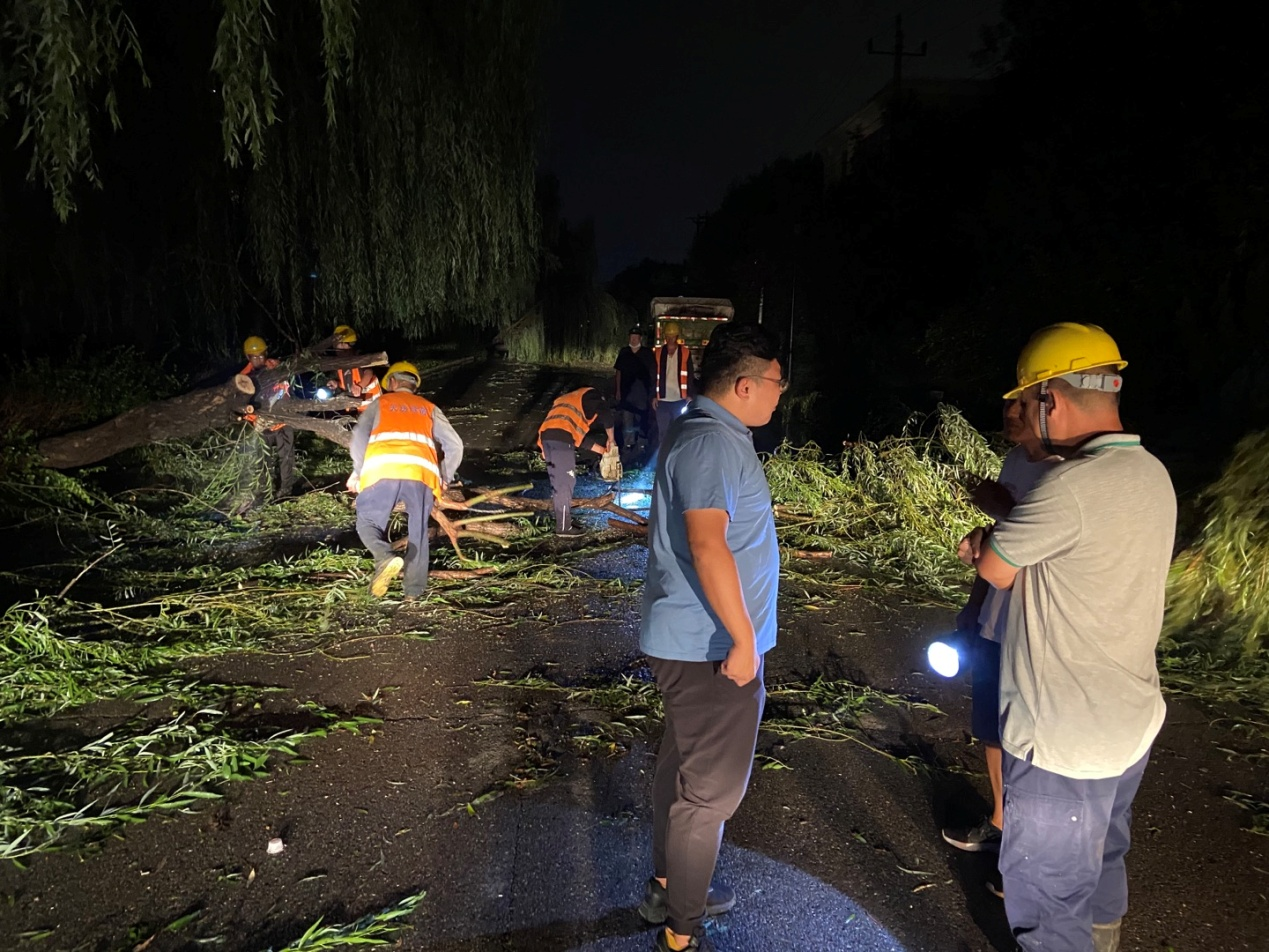 �ڲ��������רҵЧ��,����Ϊ��