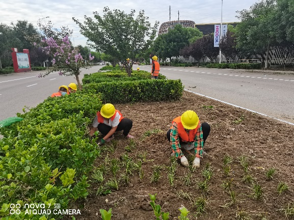 �ڲ��������רҵЧ��,����Ϊ��