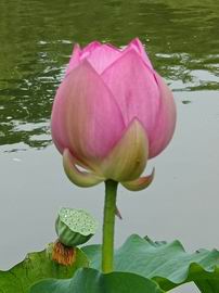 腾博会官网·专业效劳,诚信为本