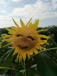 腾博会官网·专业效劳,诚信为本