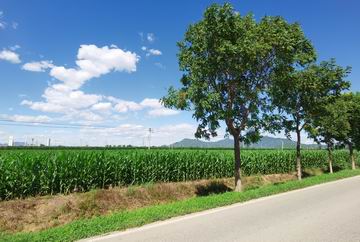 腾博会官网·专业效劳,诚信为本