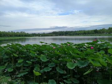 腾博会官网·专业效劳,诚信为本