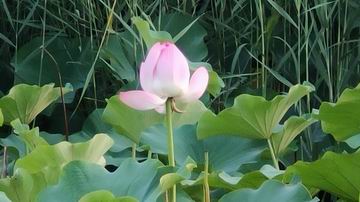 腾博会官网·专业效劳,诚信为本