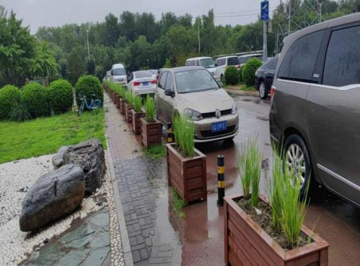 �ڲ��������רҵЧ��,����Ϊ��