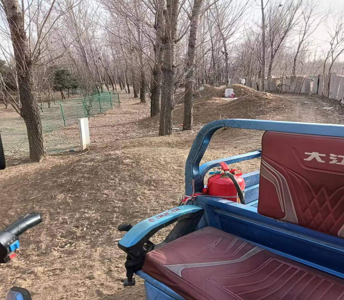 �ڲ��������רҵЧ��,����Ϊ��