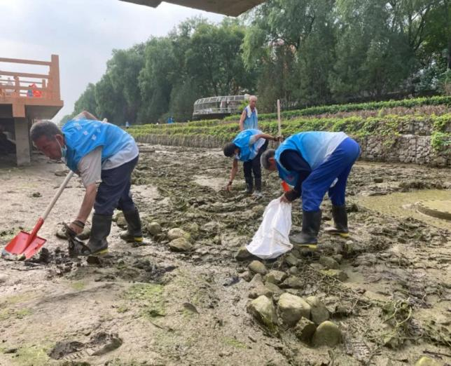 �ڲ��������רҵЧ��,����Ϊ��