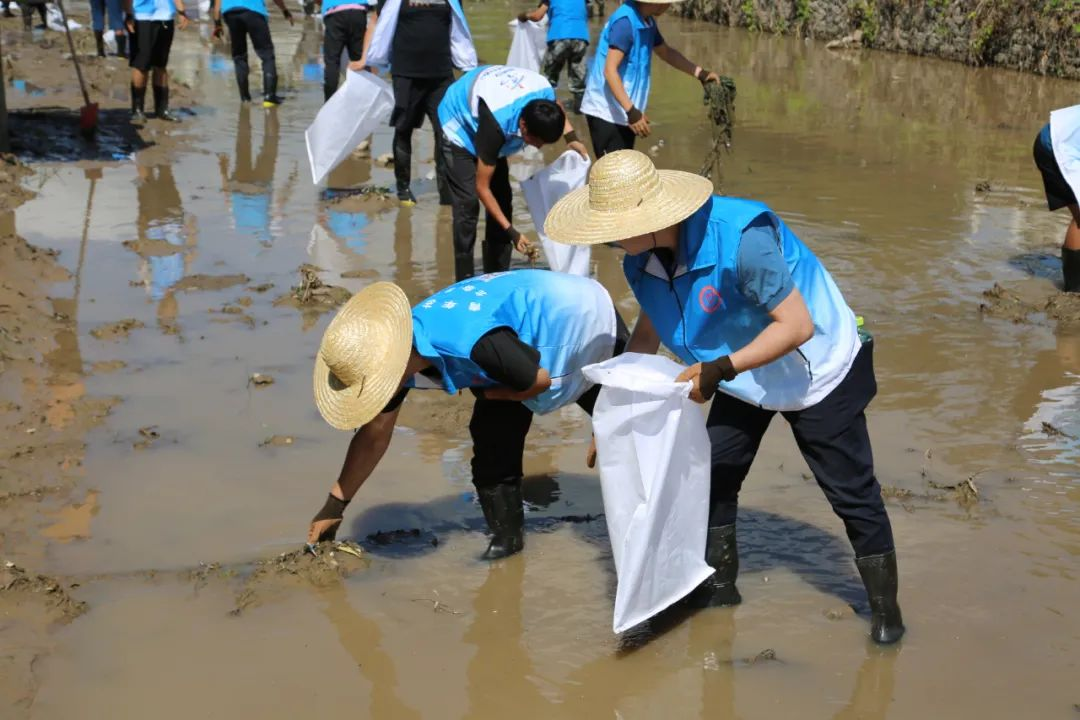 �ڲ��������רҵЧ��,����Ϊ��