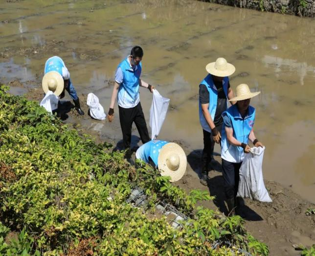 �ڲ��������רҵЧ��,����Ϊ��