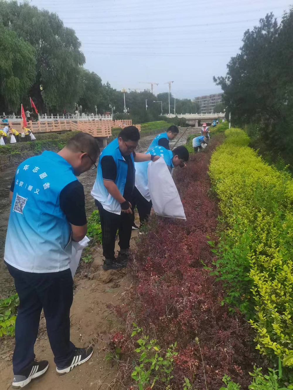 �ڲ��������רҵЧ��,����Ϊ��