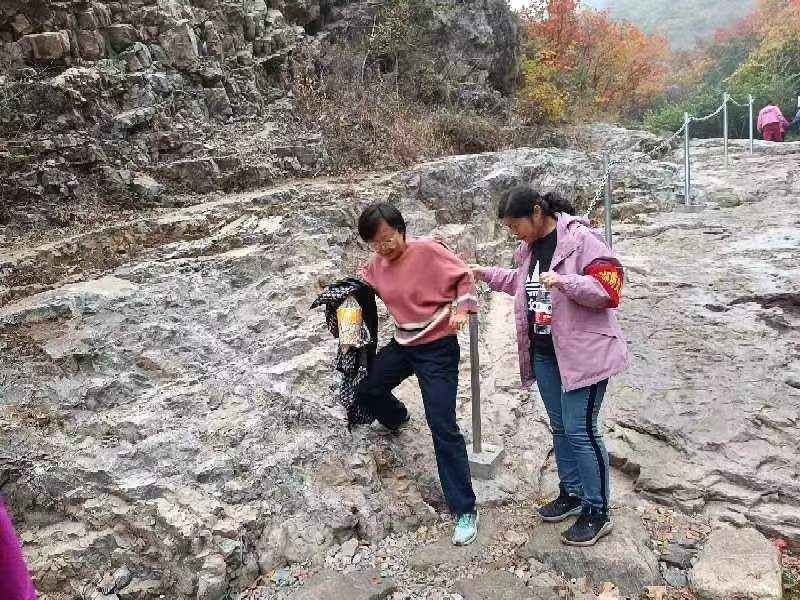 �ڲ��������רҵЧ��,����Ϊ��