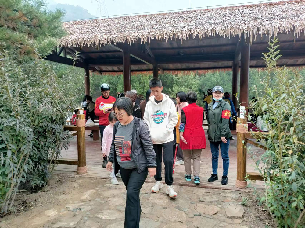 �ڲ��������רҵЧ��,����Ϊ��