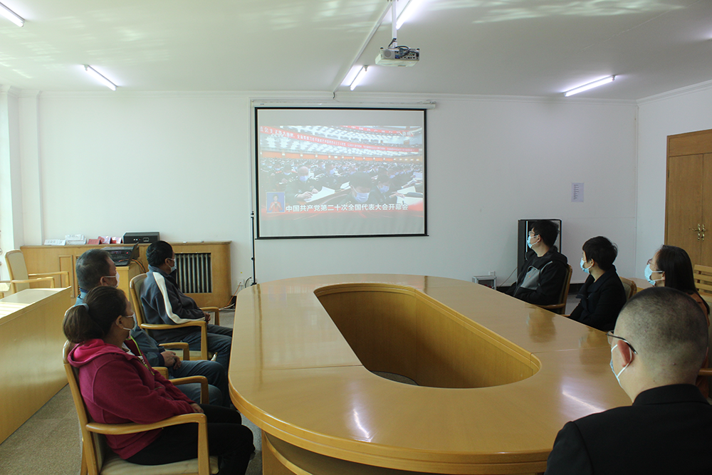 �ڲ��������רҵЧ��,����Ϊ��