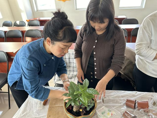 �ڲ��������רҵЧ��,����Ϊ��