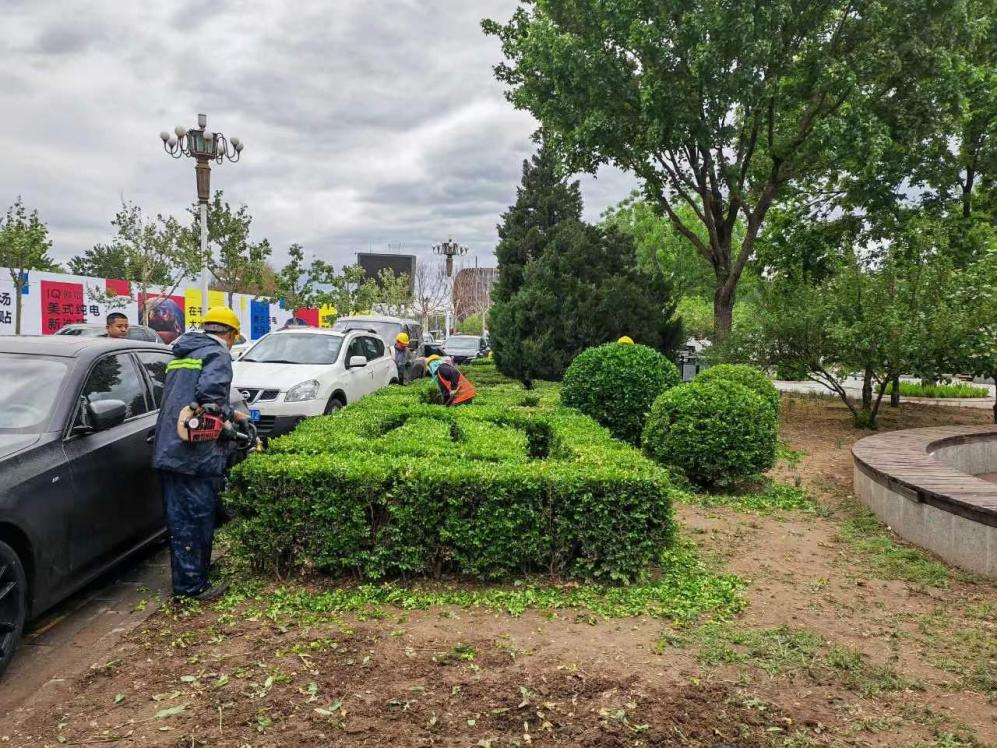 �ڲ��������רҵЧ��,����Ϊ��