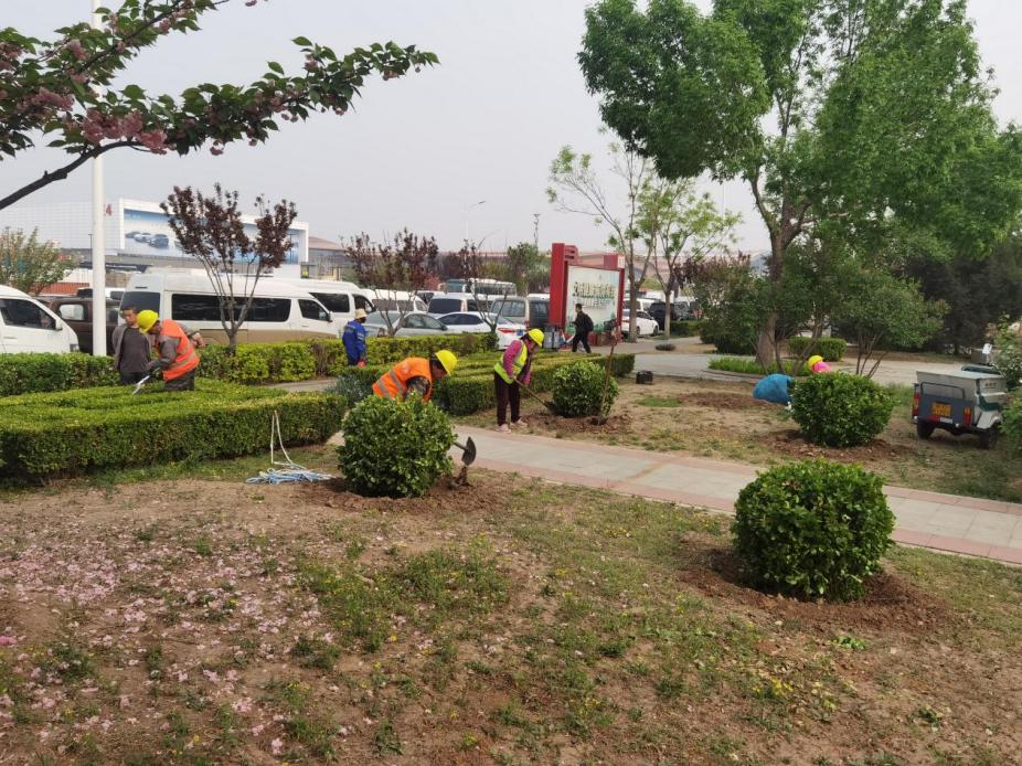 �ڲ��������רҵЧ��,����Ϊ��