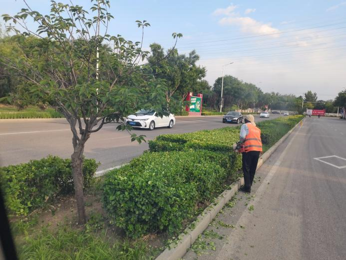 �ڲ��������רҵЧ��,����Ϊ��