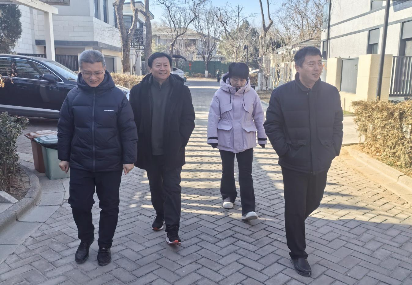 �ڲ��������רҵЧ��,����Ϊ��