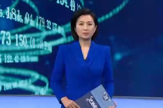 �ڲ��������רҵЧ��,����Ϊ��