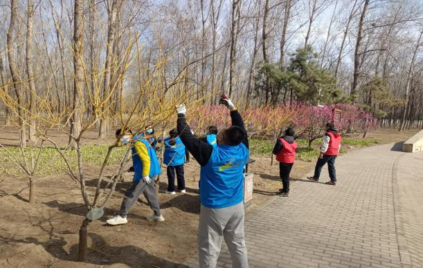 �ڲ��������רҵЧ��,����Ϊ��