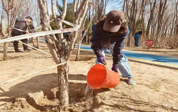 �ڲ��������רҵЧ��,����Ϊ��