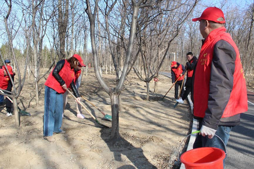 �ڲ��������רҵЧ��,����Ϊ��