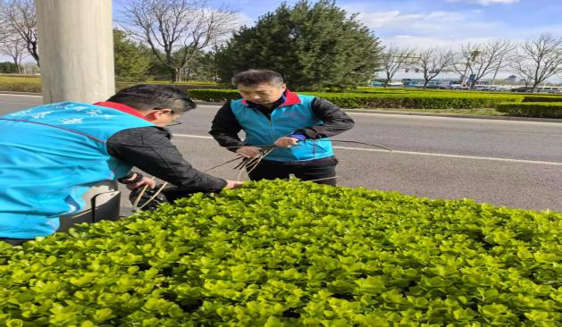 �ڲ��������רҵЧ��,����Ϊ��