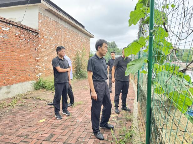 �ڲ��������רҵЧ��,����Ϊ��