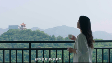 ԣ������-��Ŀ��������