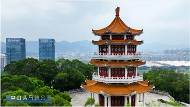 ԣ������-��Ŀ��������